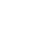 royal-college-of-chiropractors